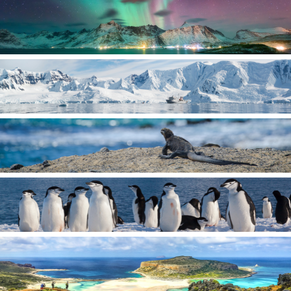 Why Choose Expedition Cruising